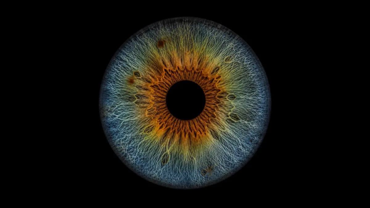 Macro iris showing brown, amber, green and blue-gray pigment zones on black