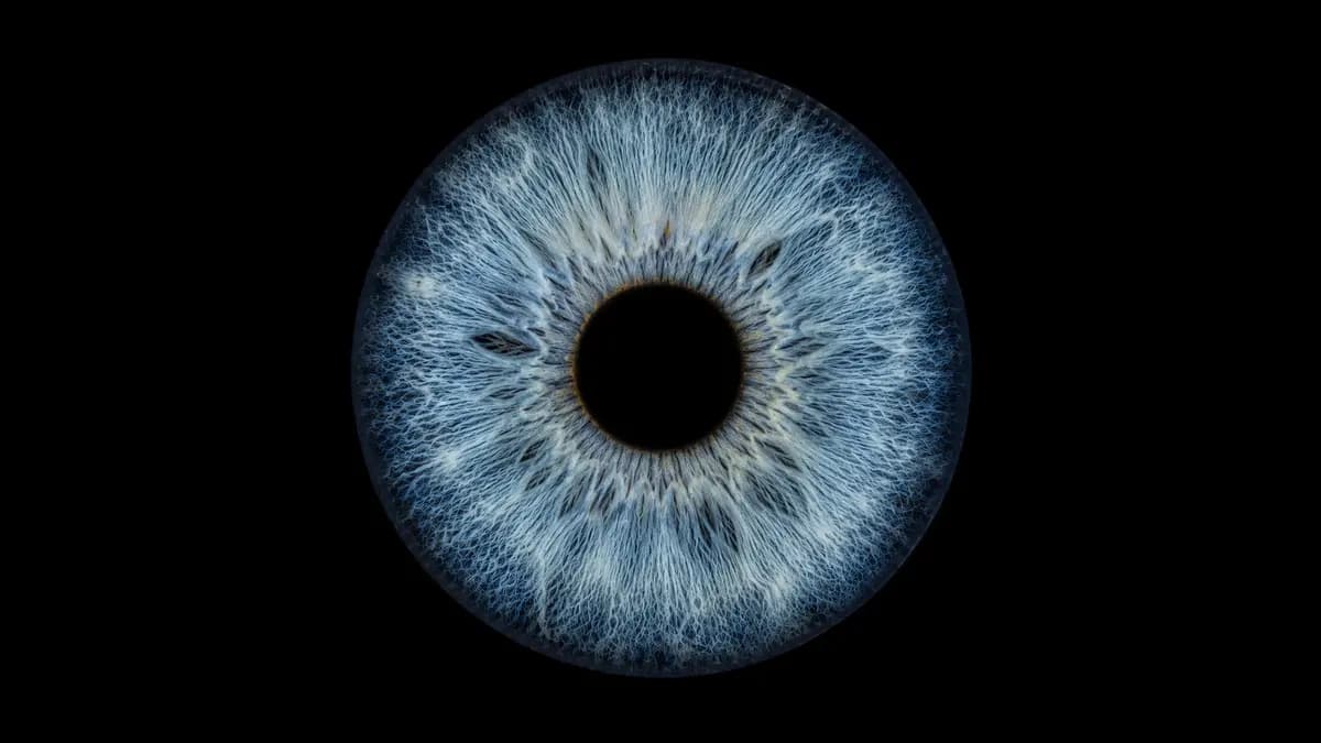 Detailed pale blue iris showing fine light-scattering fibers on black