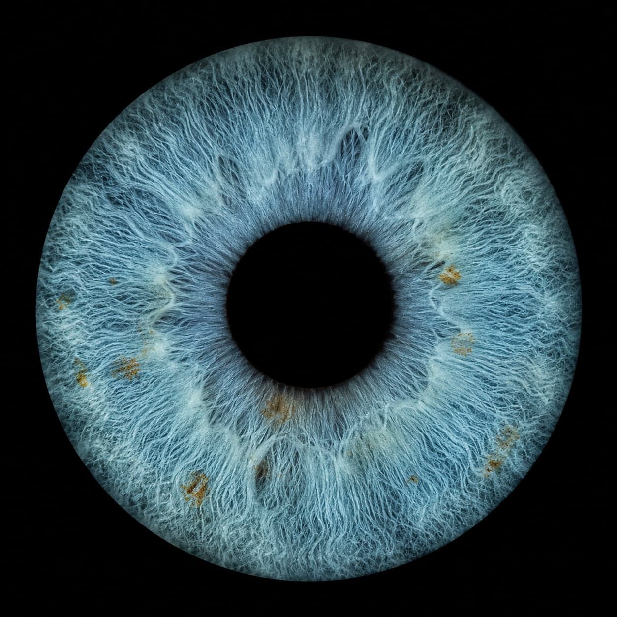 Sample Blue macro iris eye