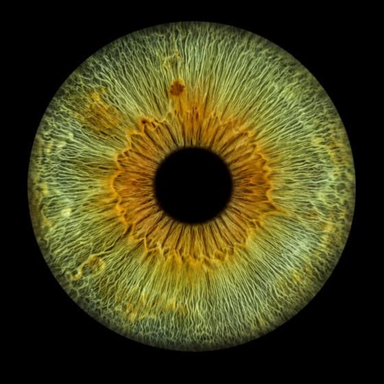 Sample Green macro iris eye